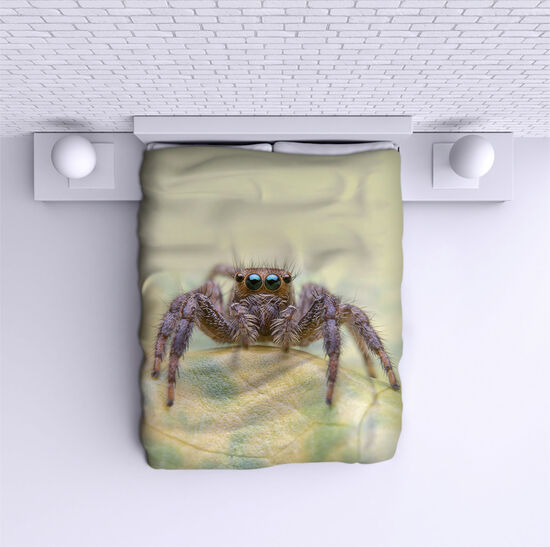 Bed Cover Spider
