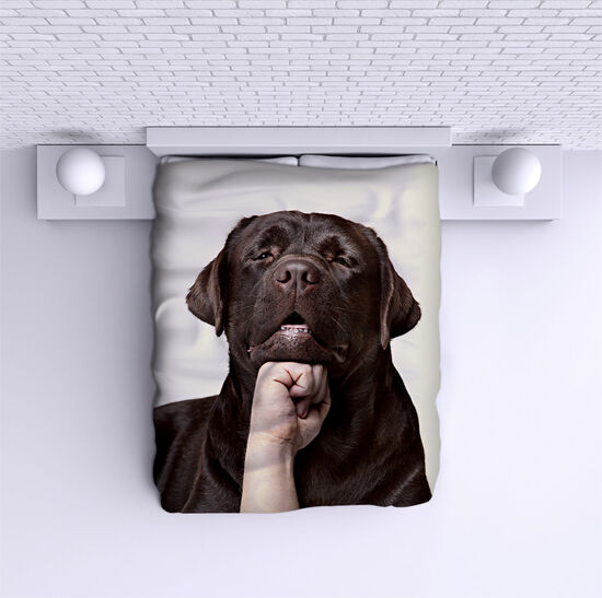 Bed Cover Retriever