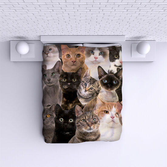 Bed Cover Cats