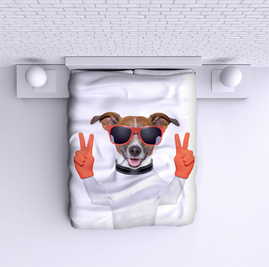 Bed Cover Dog with Glasses