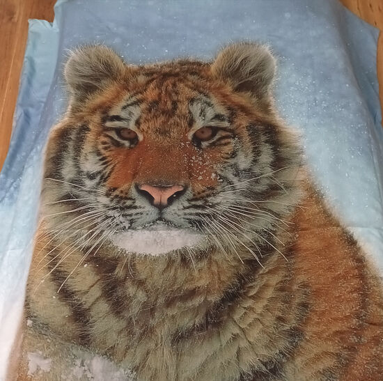 Bed Linen Tiger in the Snow