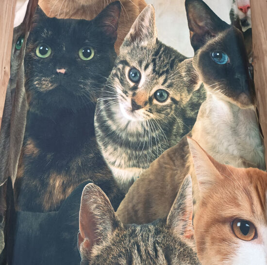 Bed Linen Cats
