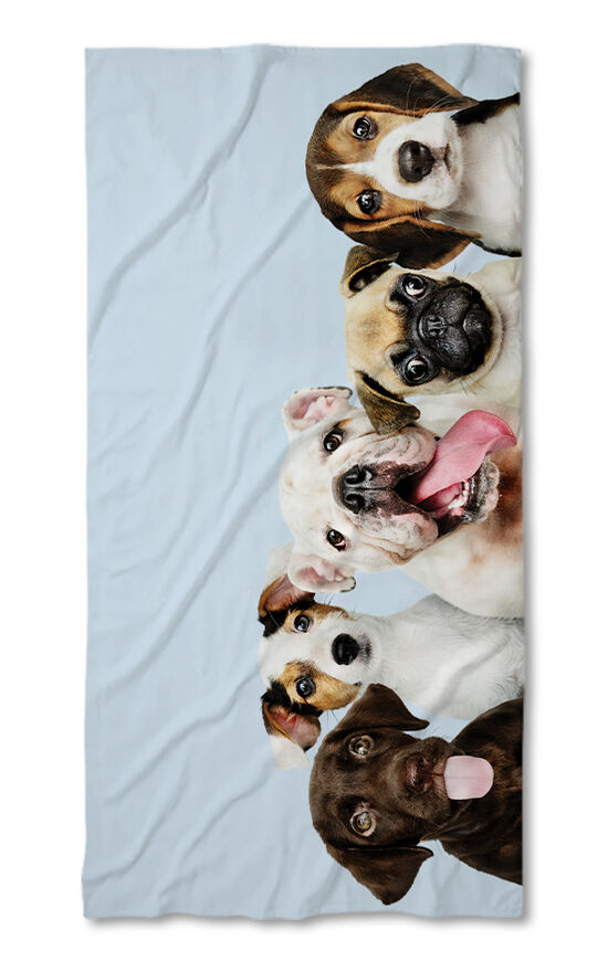 Beach Towel Dog world