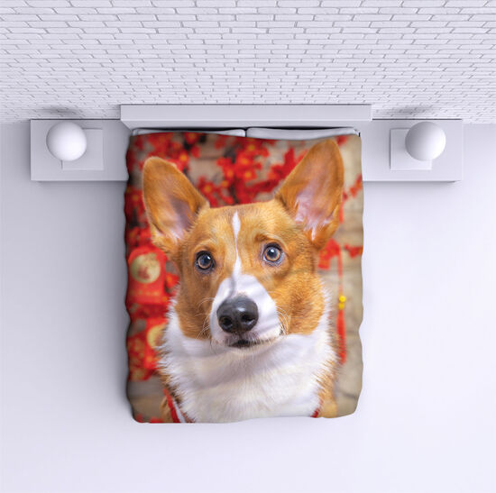 Bed Cover Christmas dog