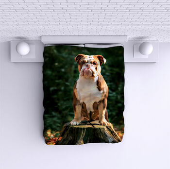 Bed Cover Bulldog in Forest