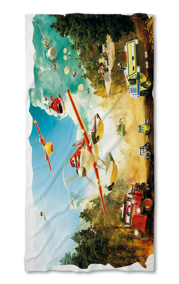 Beach Towel Planes