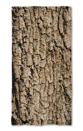 Beach Towel Log