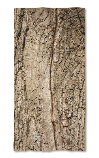 Beach Towel Wooden path